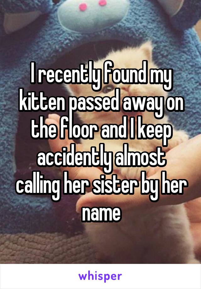 I recently found my kitten passed away on the floor and I keep accidently almost calling her sister by her name