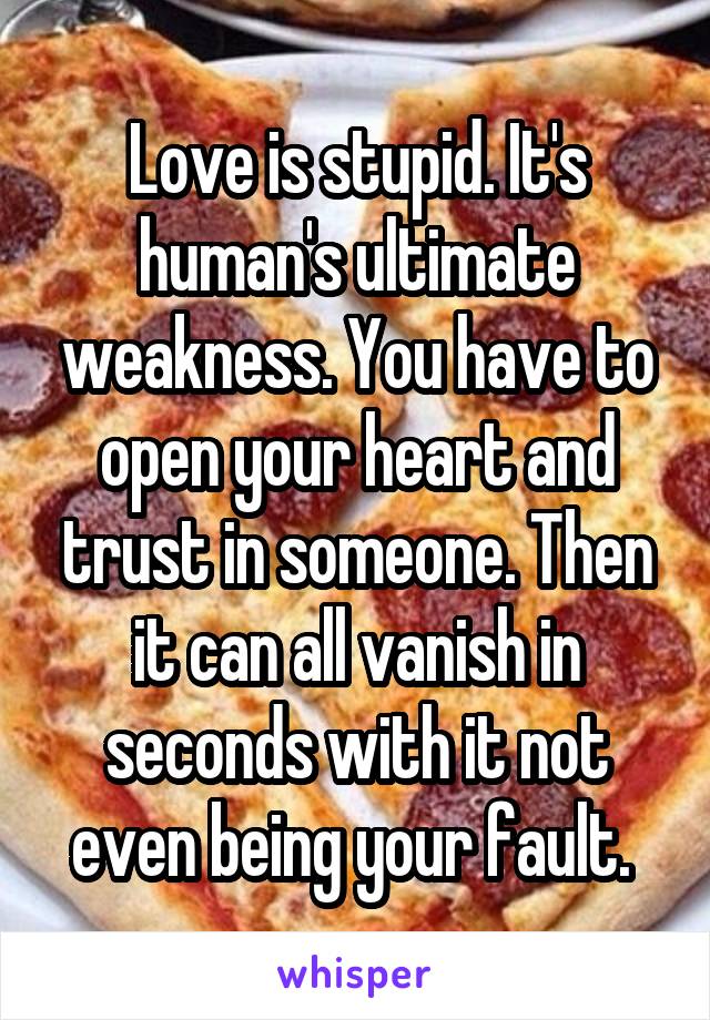 Love is stupid. It's human's ultimate weakness. You have to open your heart and trust in someone. Then it can all vanish in seconds with it not even being your fault. 