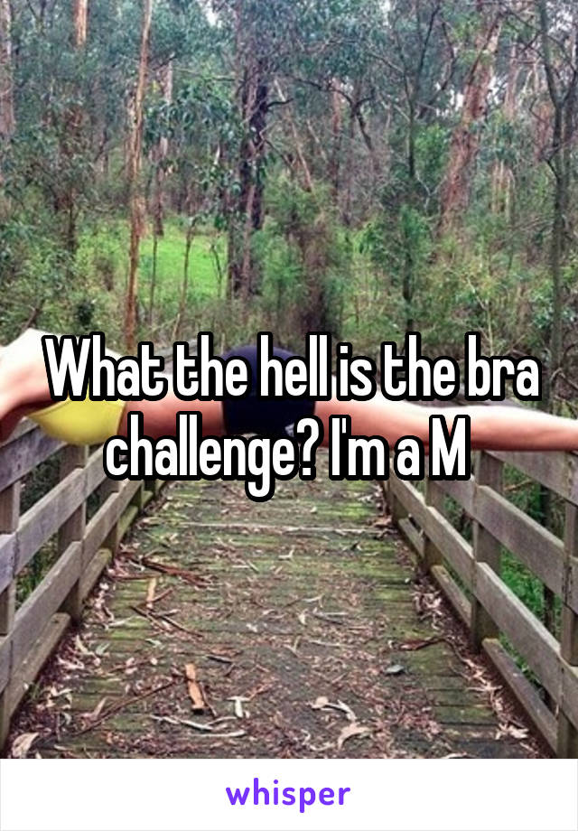 What the hell is the bra challenge? I'm a M 