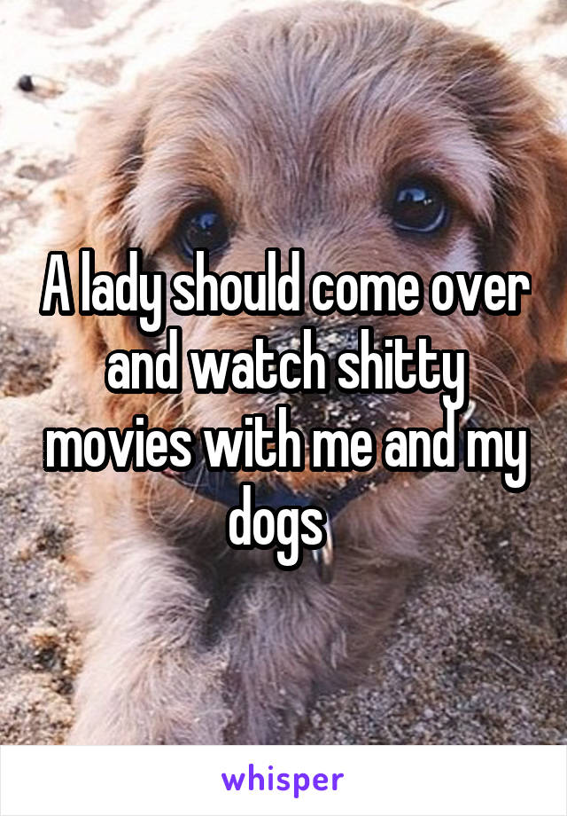 A lady should come over and watch shitty movies with me and my dogs  