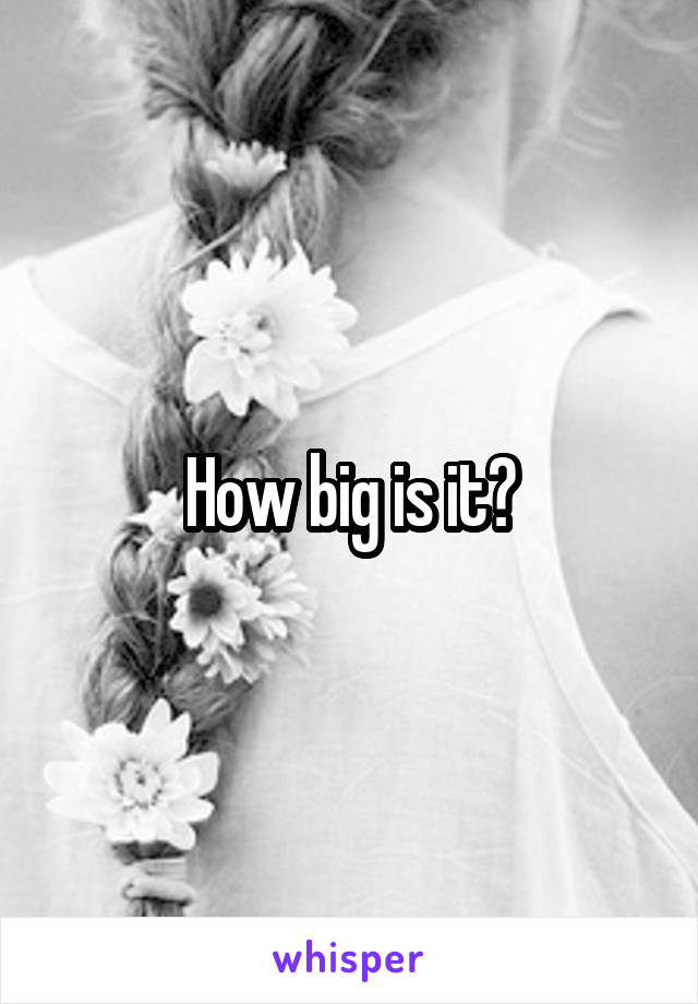 How big is it?