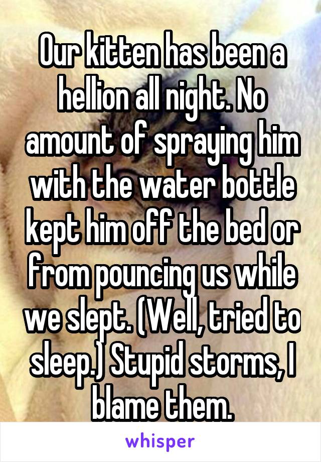 Our kitten has been a hellion all night. No amount of spraying him with the water bottle kept him off the bed or from pouncing us while we slept. (Well, tried to sleep.) Stupid storms, I blame them.