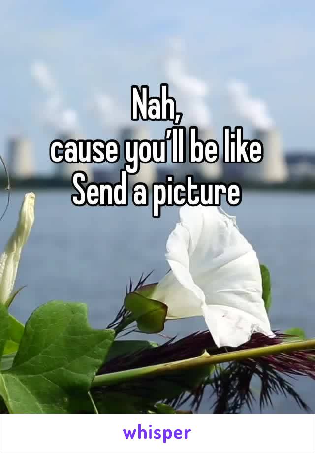 Nah, 
cause you’ll be like 
Send a picture 
