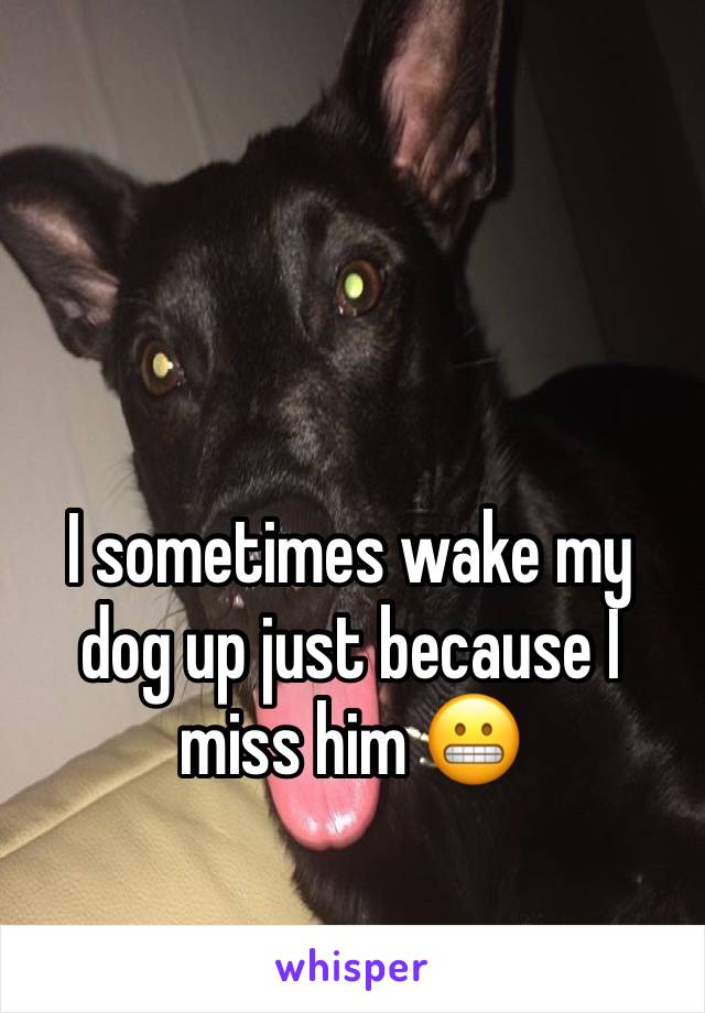 I sometimes wake my dog up just because I miss him 😬