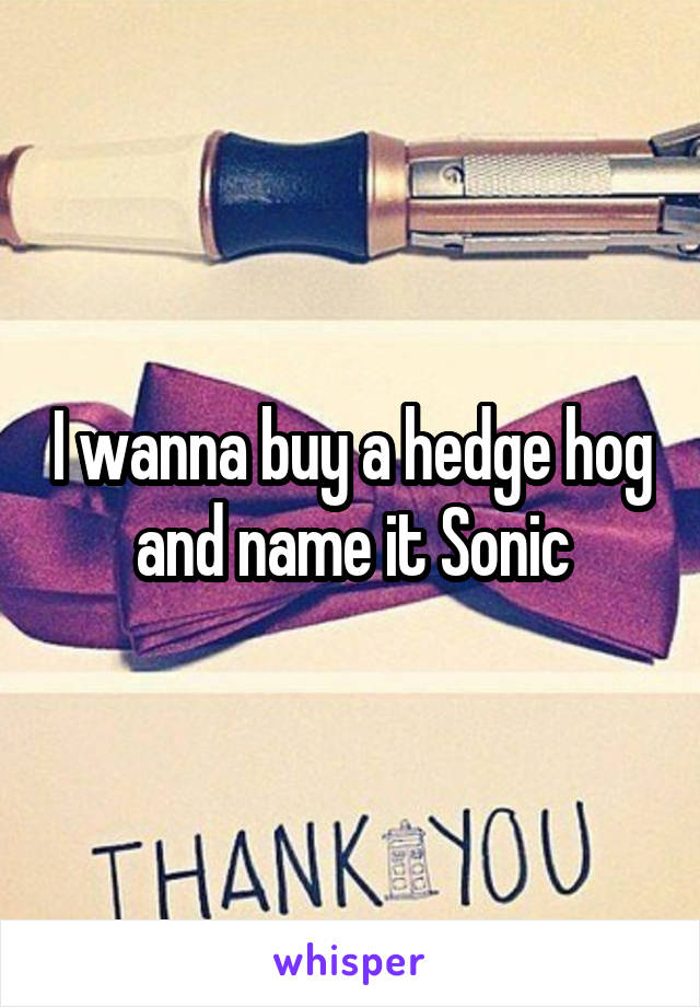 I wanna buy a hedge hog and name it Sonic
