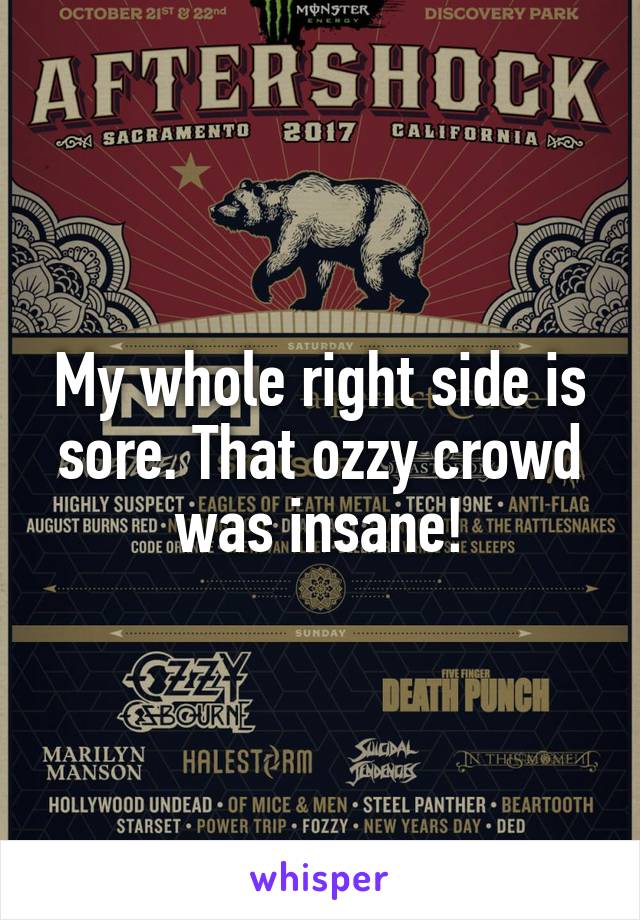 My whole right side is sore. That ozzy crowd was insane!