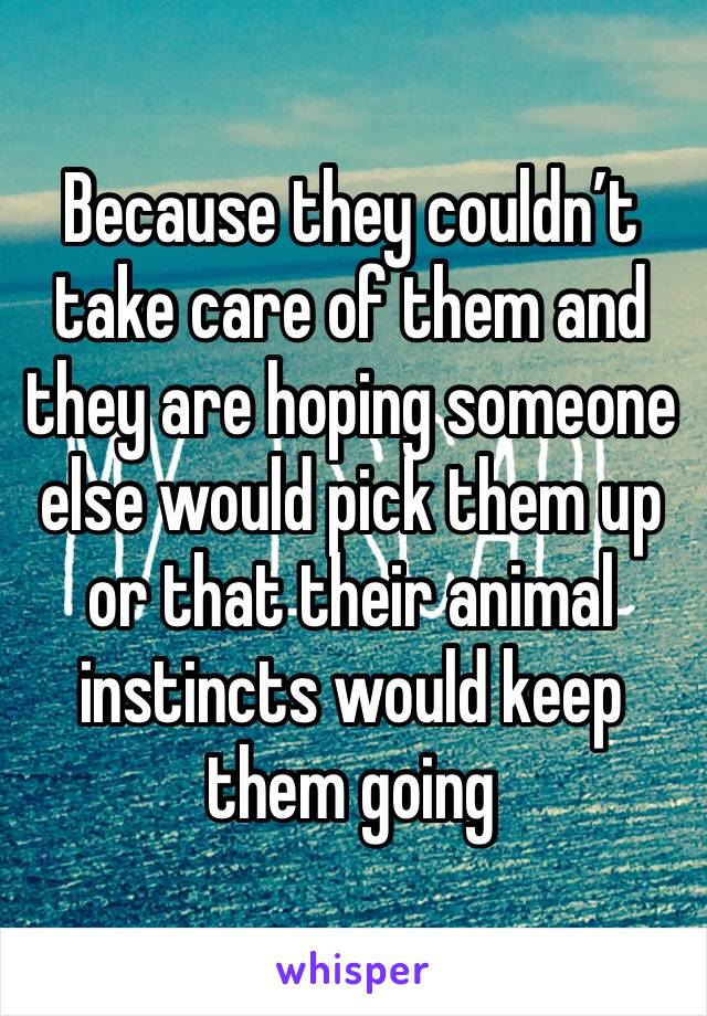 Because they couldn’t take care of them and they are hoping someone else would pick them up or that their animal instincts would keep them going
