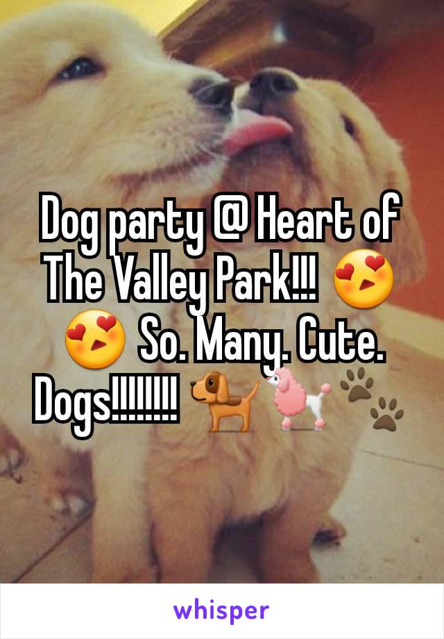 Dog party @ Heart of The Valley Park!!! 😍😍 So. Many. Cute. Dogs!!!!!!!! 🐕🐩🐾