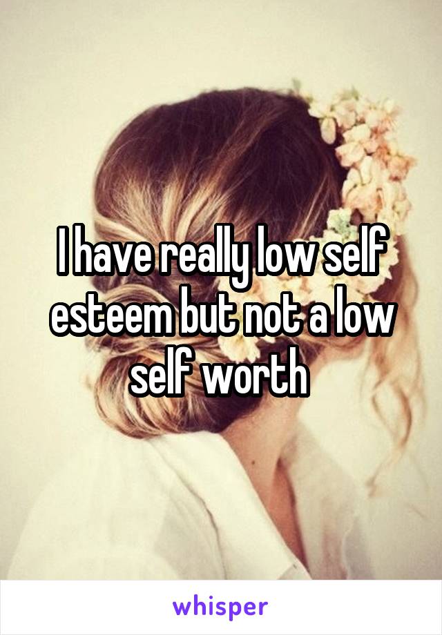 I have really low self esteem but not a low self worth 