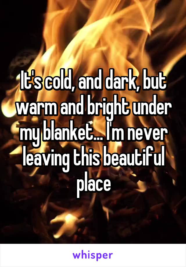It's cold, and dark, but warm and bright under my blanket... I'm never leaving this beautiful place
