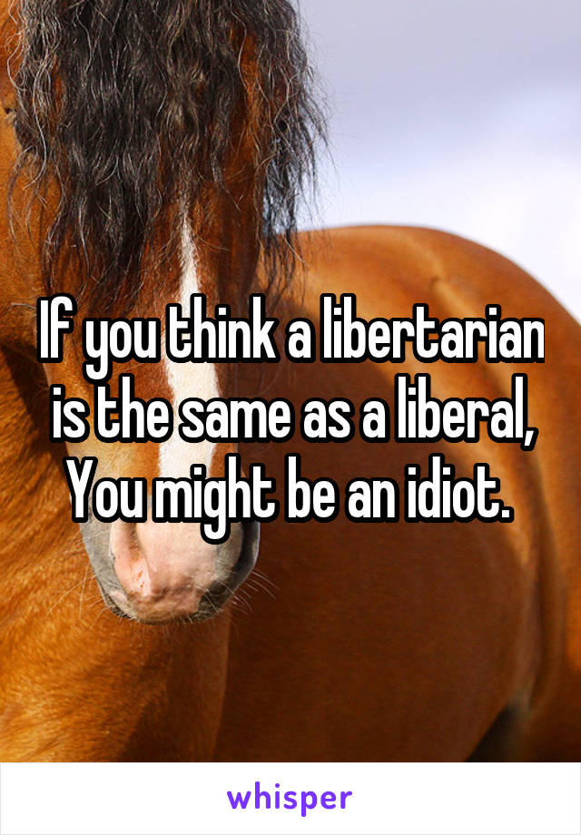 If you think a libertarian is the same as a liberal,
You might be an idiot. 