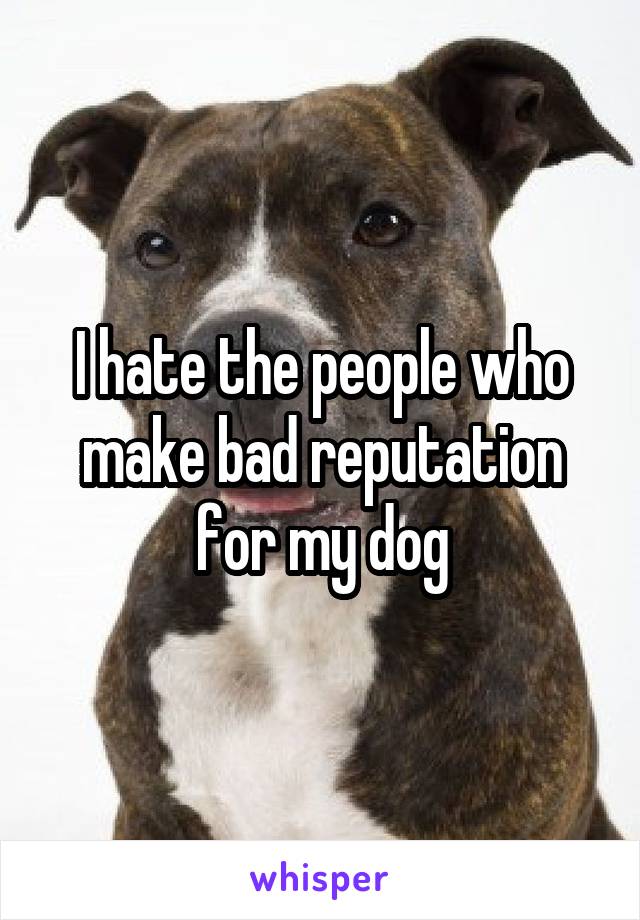 I hate the people who make bad reputation for my dog