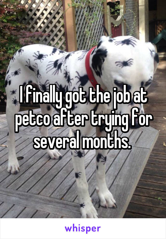 I finally got the job at petco after trying for several months. 