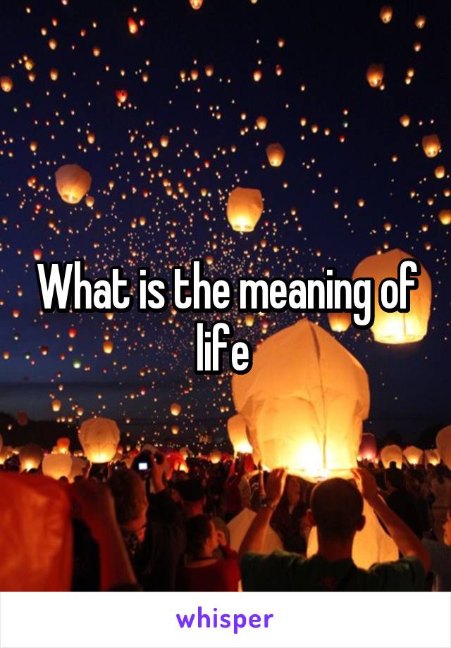 What is the meaning of life 