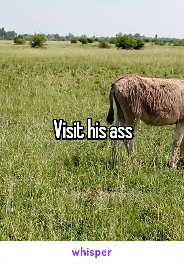 Visit his ass