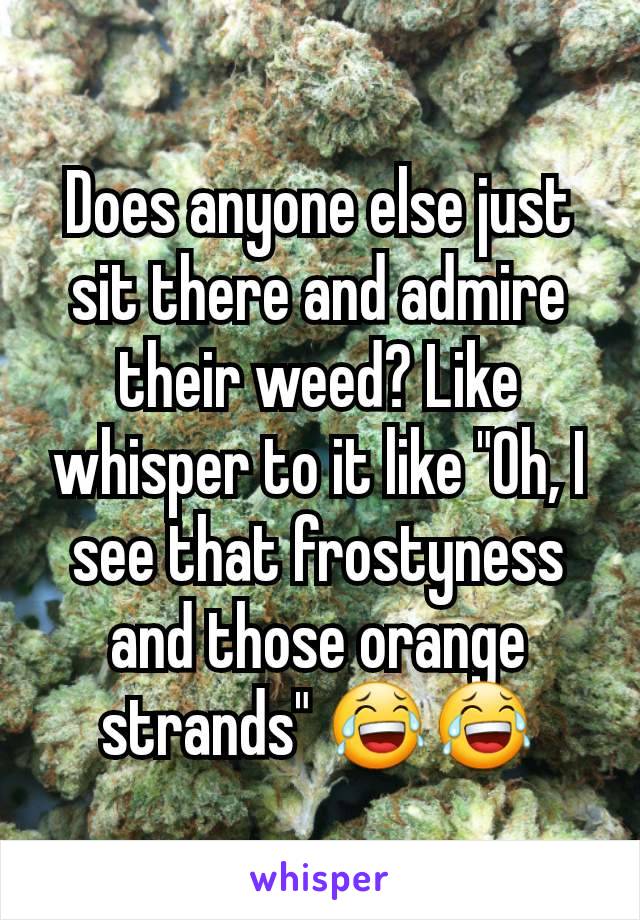 Does anyone else just sit there and admire their weed? Like whisper to it like "Oh, I see that frostyness and those orange strands" 😂😂
