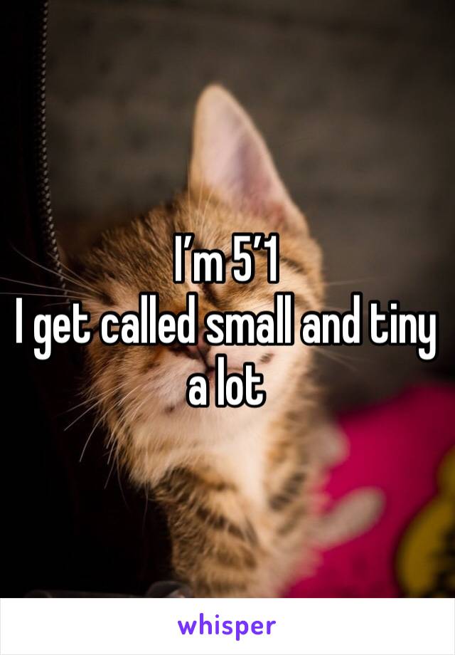 I’m 5’1
I get called small and tiny a lot