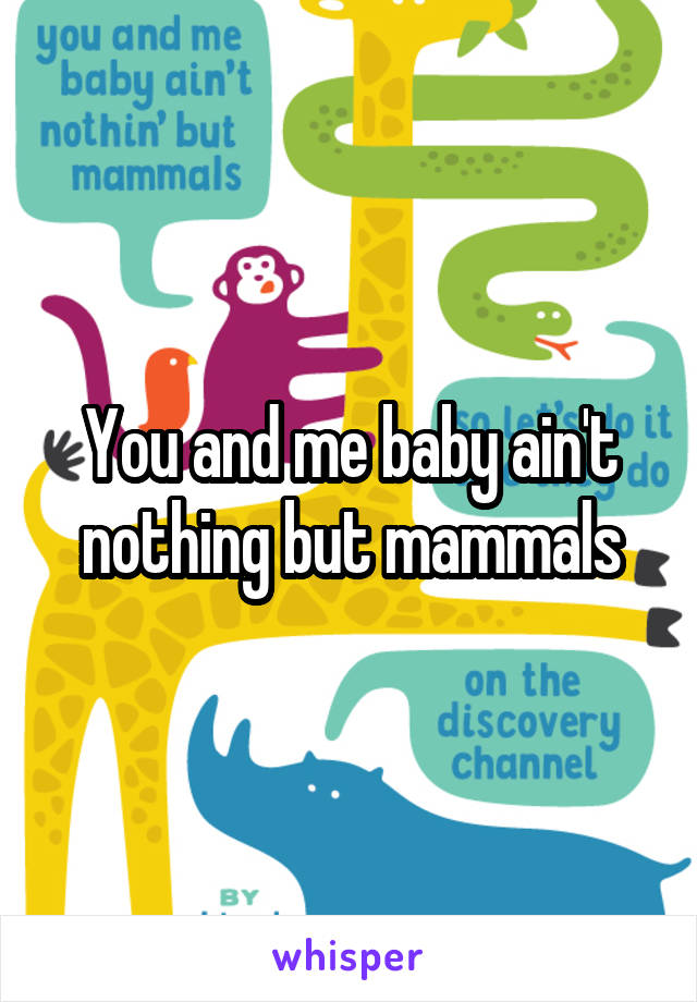 You and me baby ain't nothing but mammals