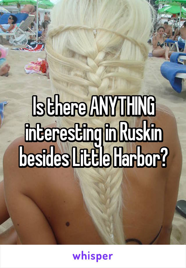 Is there ANYTHING interesting in Ruskin besides Little Harbor?
