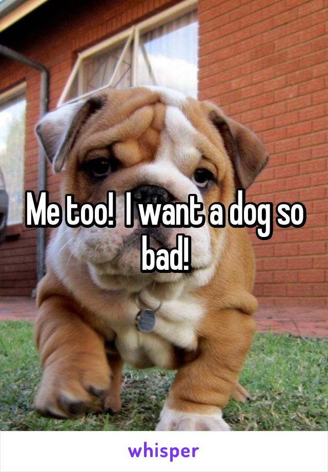 Me too!  I want a dog so bad!