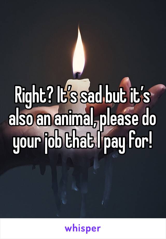 Right? It’s sad but it’s also an animal, please do your job that I pay for!