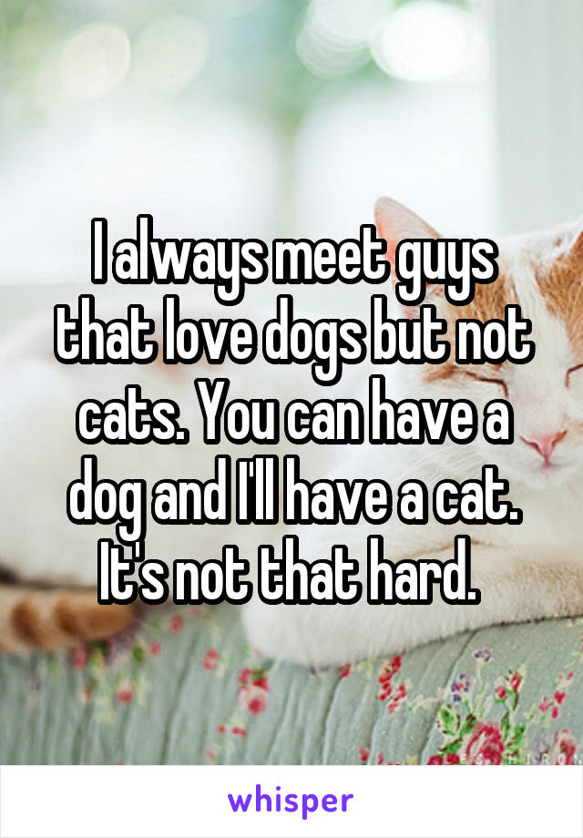 I always meet guys that love dogs but not cats. You can have a dog and I'll have a cat. It's not that hard. 