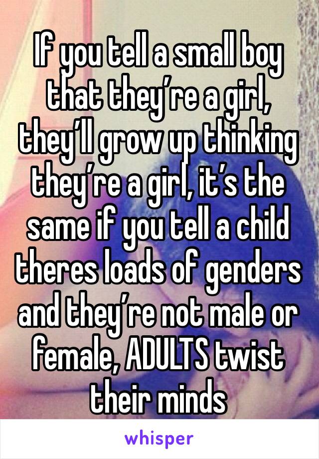 If you tell a small boy that they’re a girl, they’ll grow up thinking they’re a girl, it’s the same if you tell a child theres loads of genders and they’re not male or female, ADULTS twist their minds