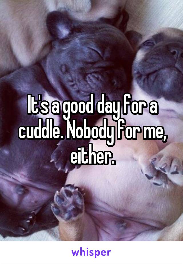 It's a good day for a cuddle. Nobody for me, either.