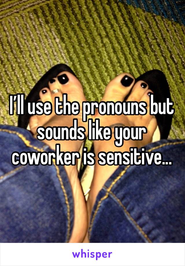 I’ll use the pronouns but sounds like your coworker is sensitive...
