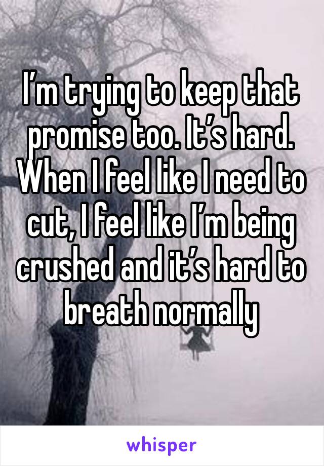I’m trying to keep that promise too. It’s hard. When I feel like I need to cut, I feel like I’m being crushed and it’s hard to breath normally 