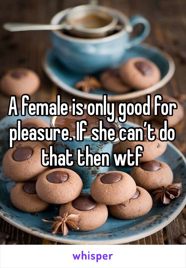 A female is only good for pleasure. If she can’t do that then wtf
