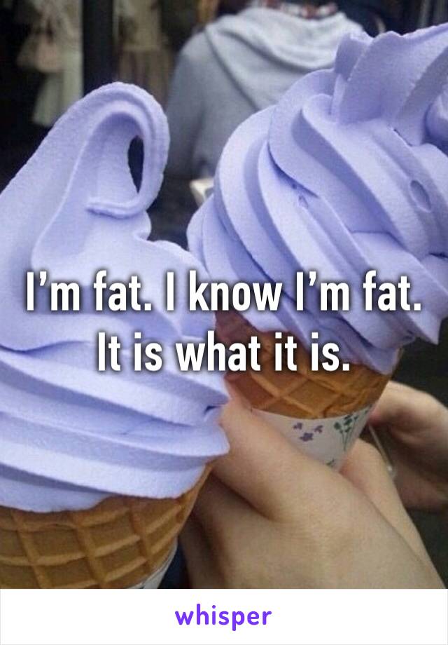 I’m fat. I know I’m fat. It is what it is. 
