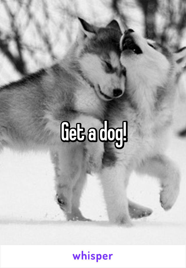 Get a dog!
