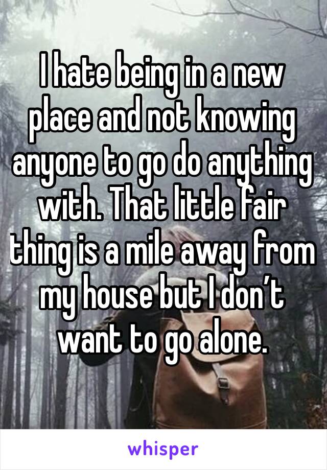 I hate being in a new place and not knowing anyone to go do anything with. That little fair thing is a mile away from my house but I don’t want to go alone. 