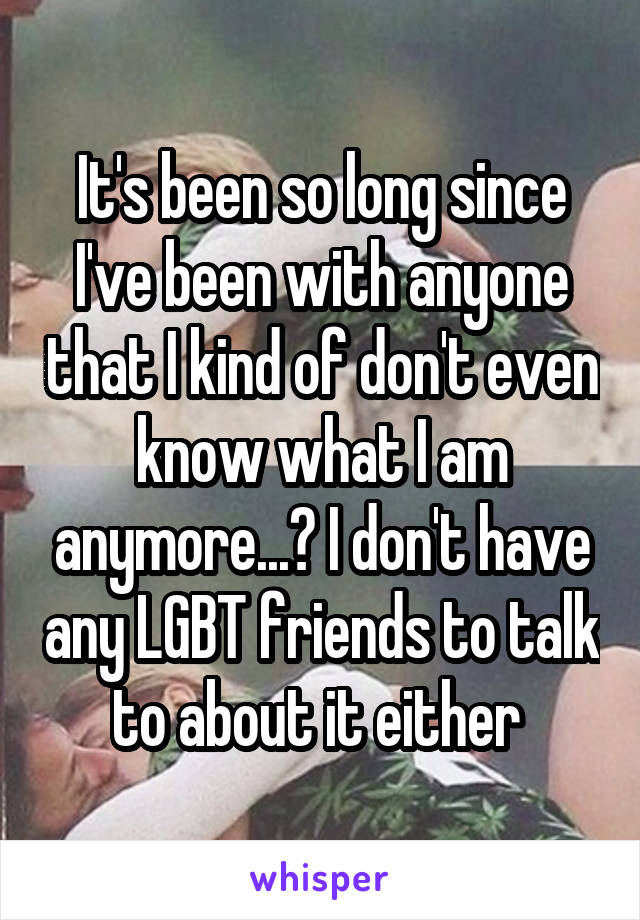 It's been so long since I've been with anyone that I kind of don't even know what I am anymore...? I don't have any LGBT friends to talk to about it either 