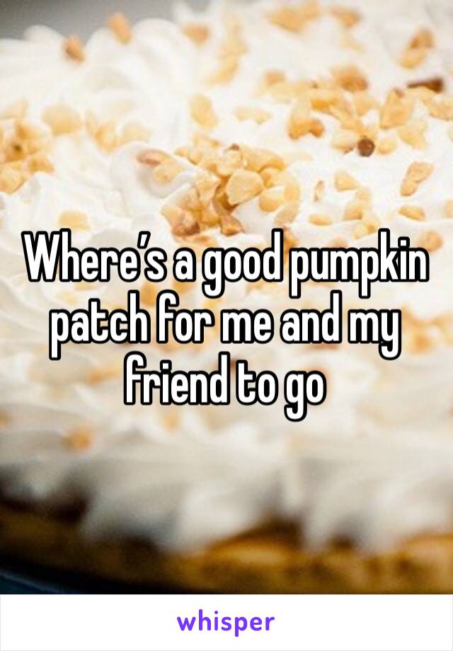 Where’s a good pumpkin patch for me and my friend to go