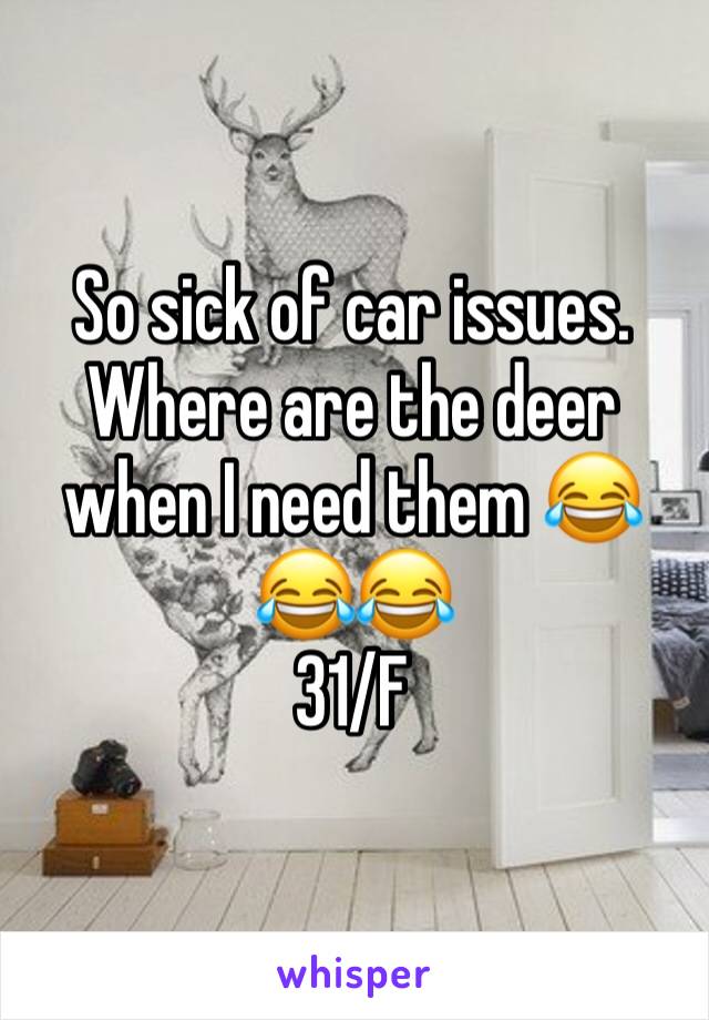 So sick of car issues. Where are the deer when I need them 😂😂😂
31/F