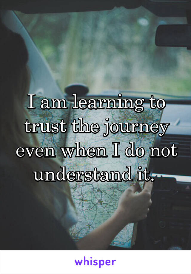 I am learning to trust the journey even when I do not understand it. 