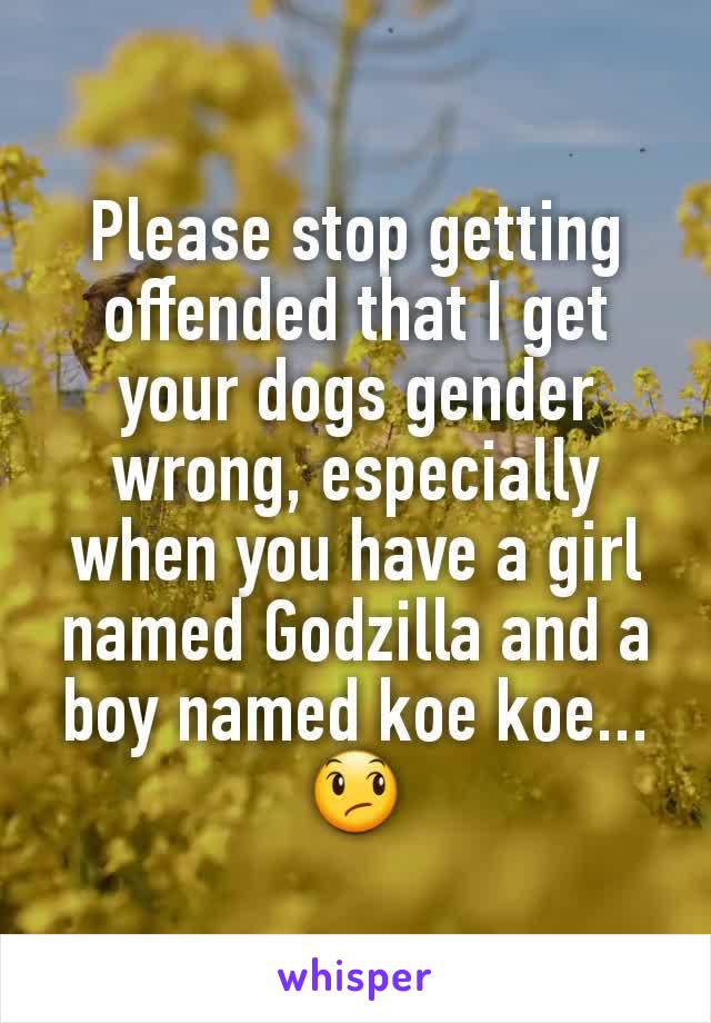 Please stop getting offended that I get your dogs gender wrong, especially when you have a girl named Godzilla and a boy named koe koe... 😞