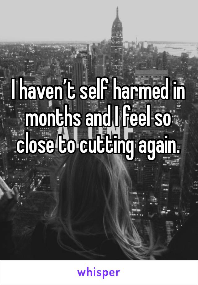I haven’t self harmed in months and I feel so close to cutting again. 