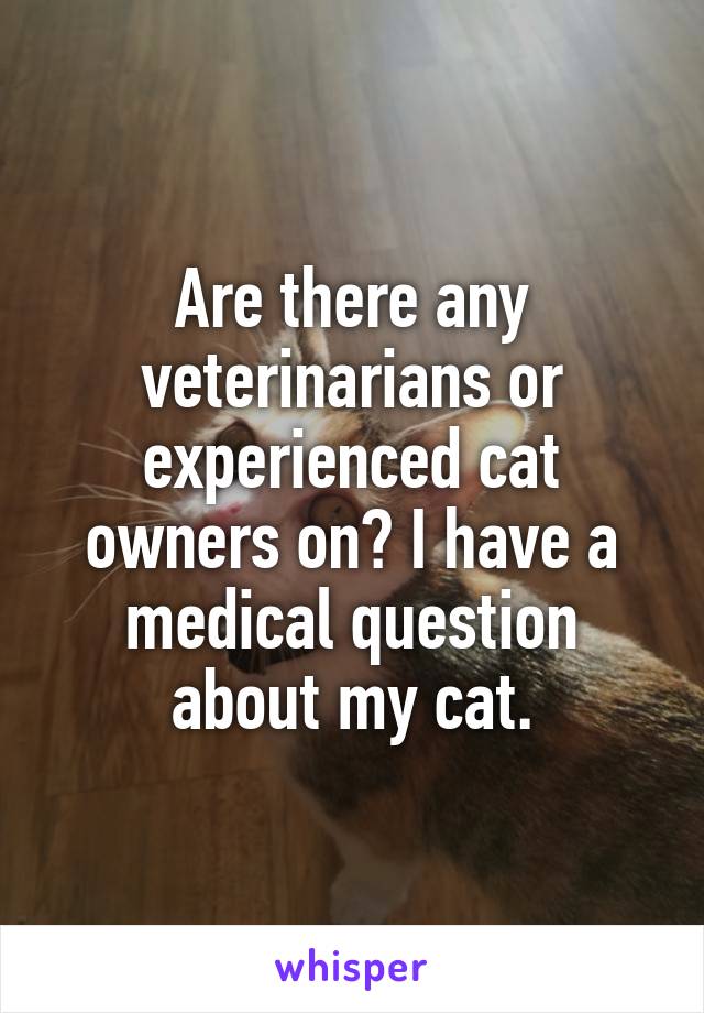 Are there any veterinarians or experienced cat owners on? I have a medical question about my cat.
