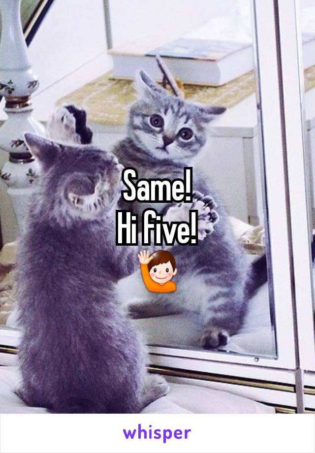 Same!
Hi five!
🙋‍♂️