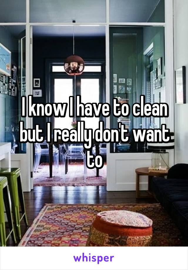I know I have to clean but I really don't want to