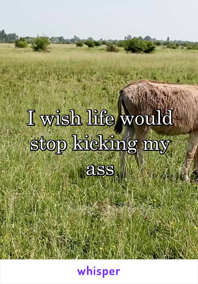 I wish life would stop kicking my ass