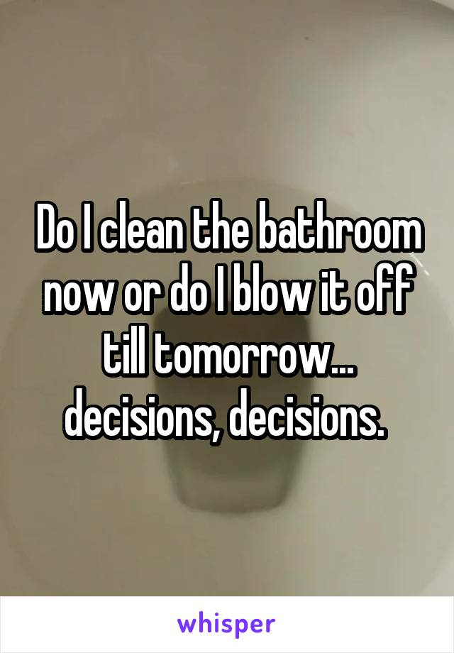 Do I clean the bathroom now or do I blow it off till tomorrow... decisions, decisions. 