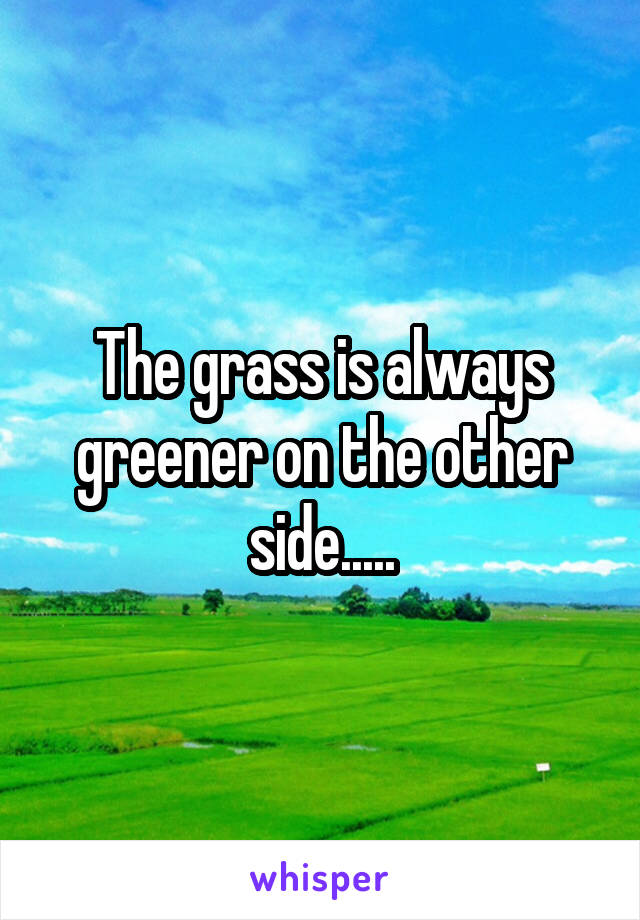 The grass is always greener on the other side.....