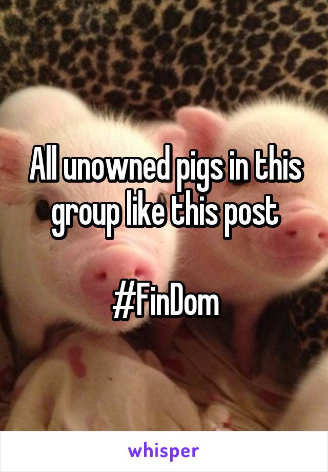 All unowned pigs in this group like this post

#FinDom