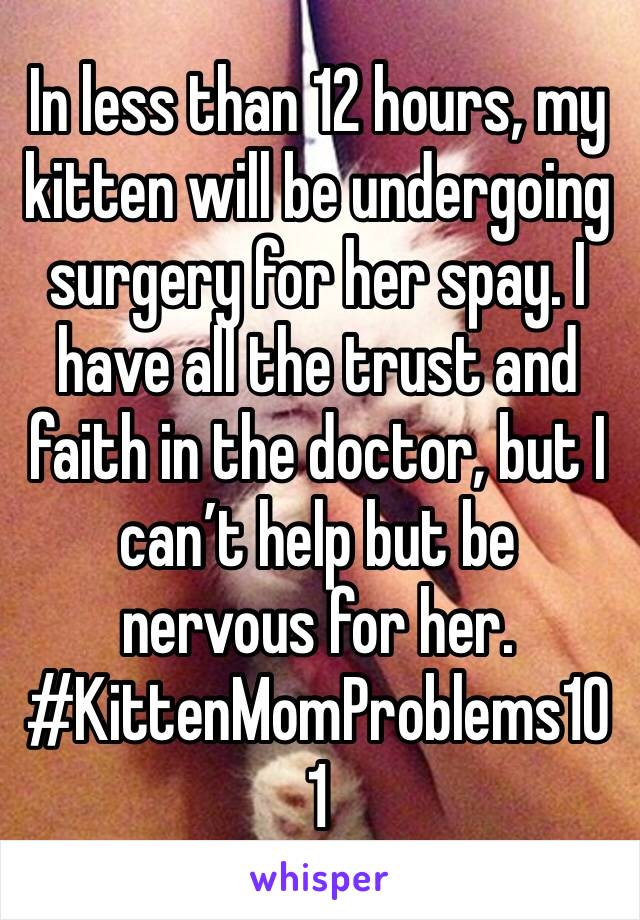 In less than 12 hours, my kitten will be undergoing surgery for her spay. I have all the trust and faith in the doctor, but I can’t help but be nervous for her. #KittenMomProblems101