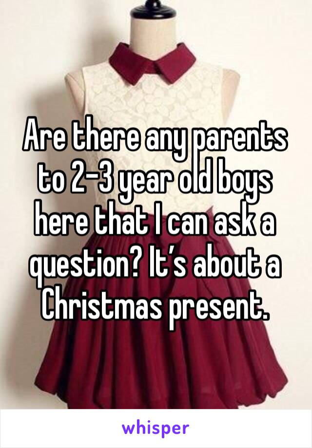 Are there any parents to 2-3 year old boys here that I can ask a question? It’s about a Christmas present. 