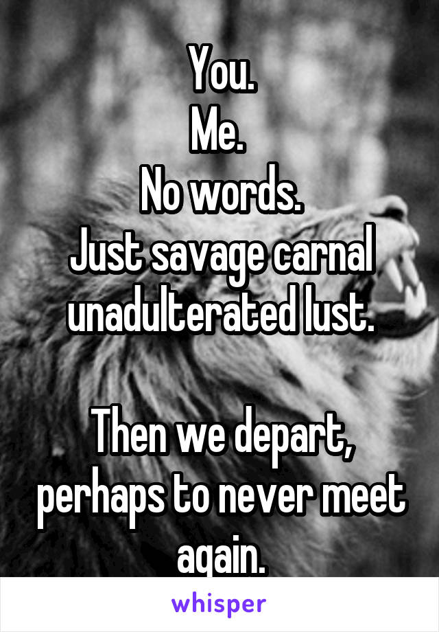 You.
Me. 
No words.
Just savage carnal unadulterated lust.

Then we depart, perhaps to never meet again.